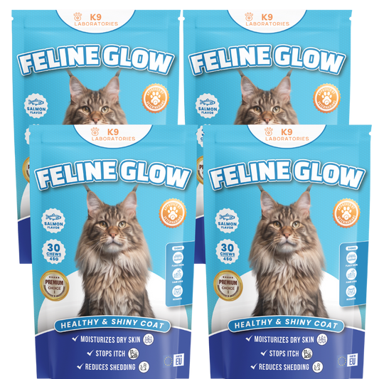 Feline Glow set van 4