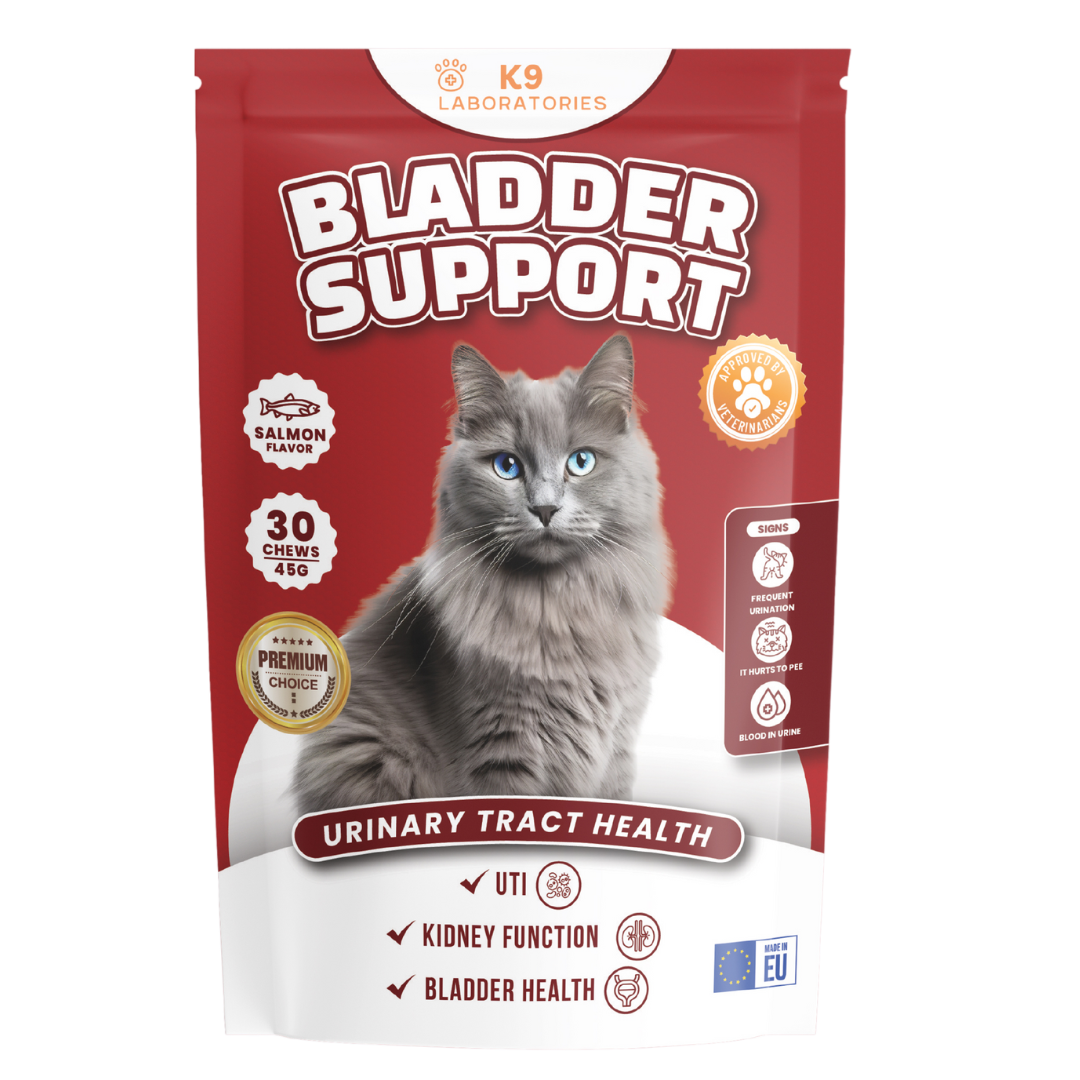 Bladder support