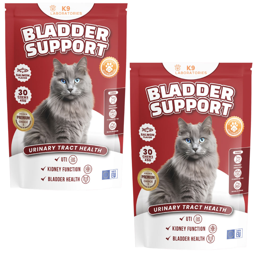 Bladder support