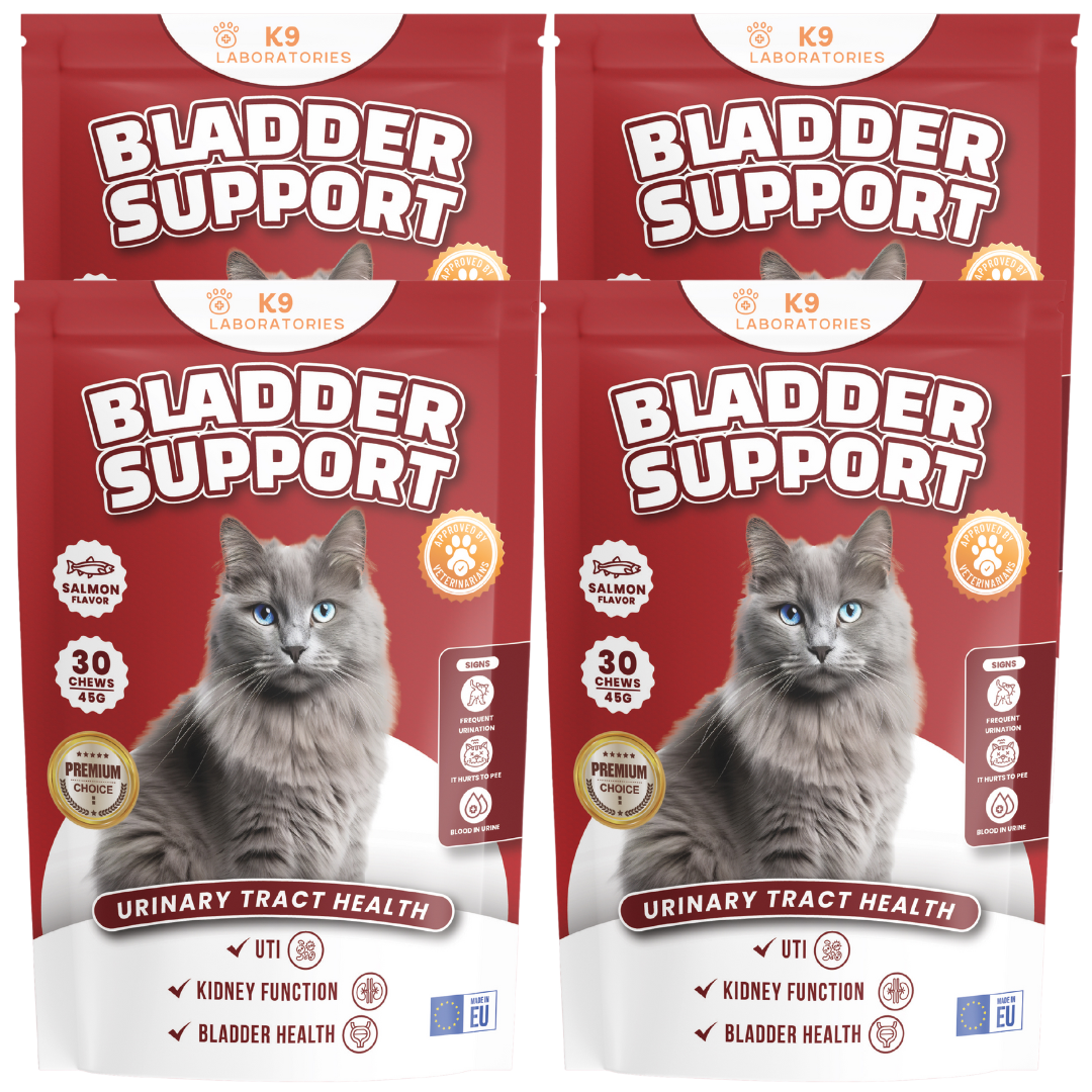 Bladder support